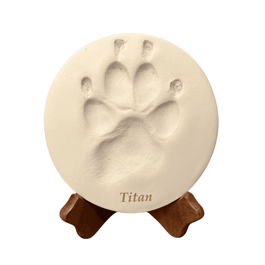 Clay Paw Impression